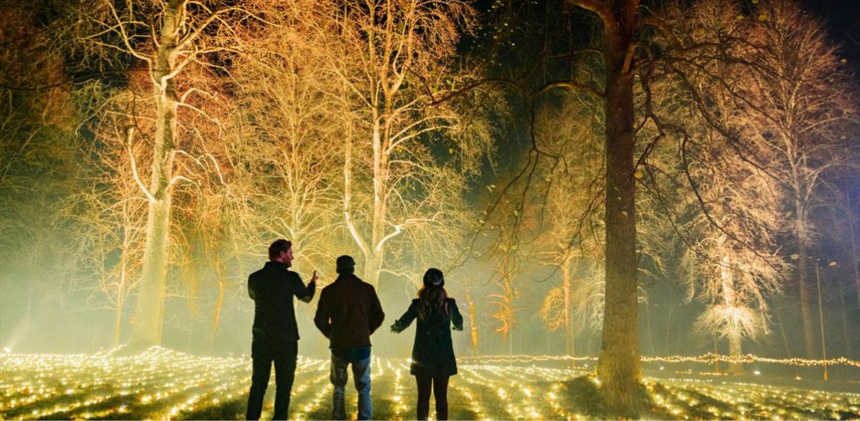 Windsor Great Park Illuminated Credit Jenna Foxton